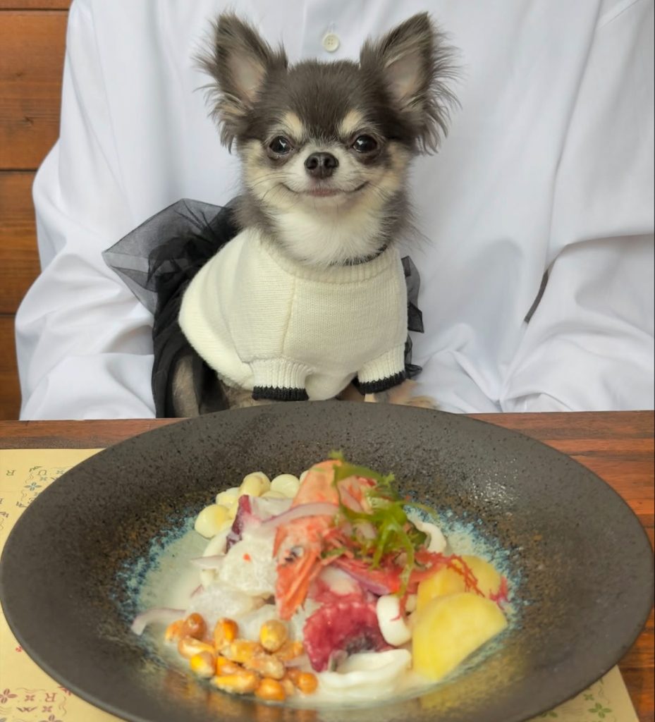 ペルー料理 DESTINO51