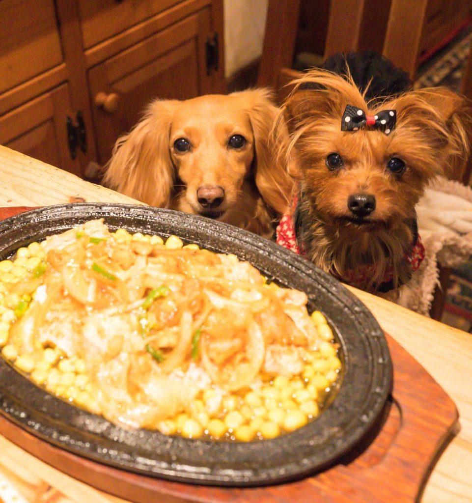 チャックワゴン