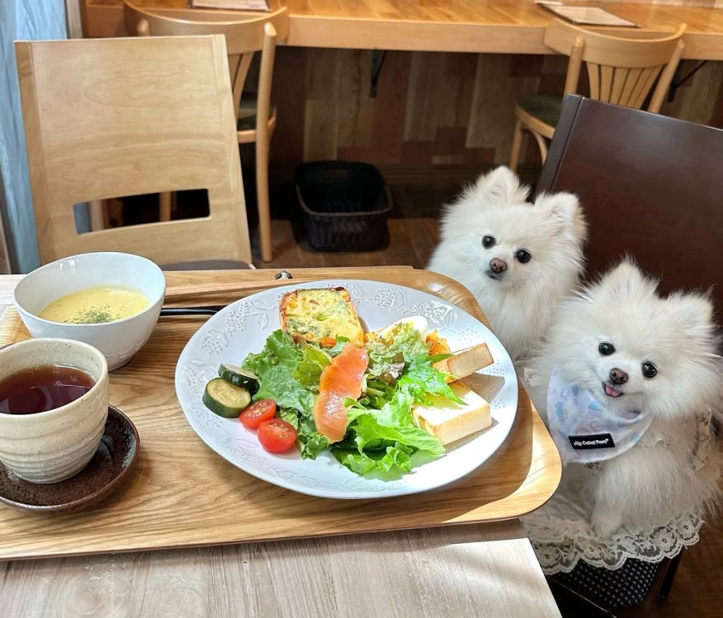 薬膳&米粉カフェ やまのひつじ