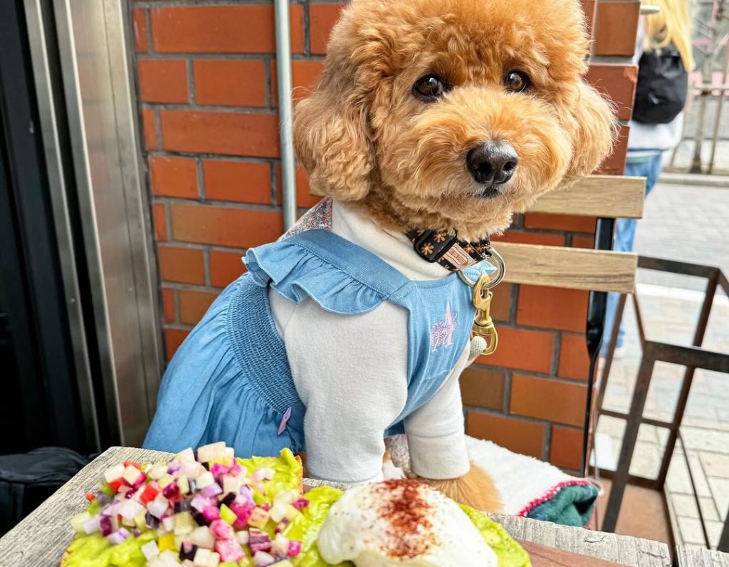 SUKE6 DINER（スケロク ダイナー）