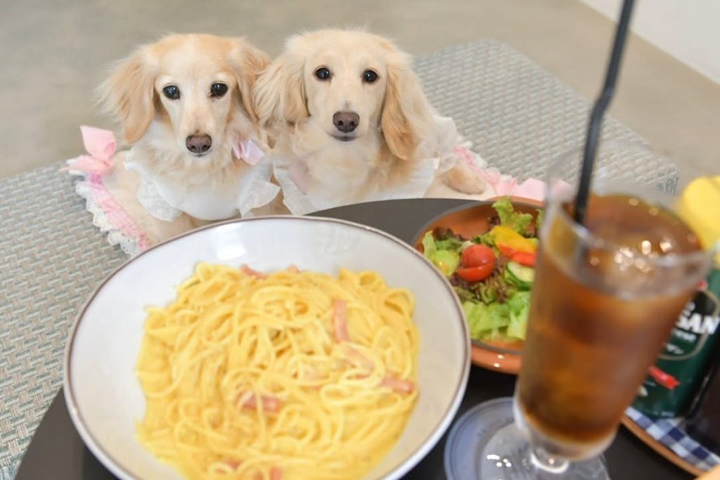 Ｗith ＣＡＦＥ to ＢＡＲ	