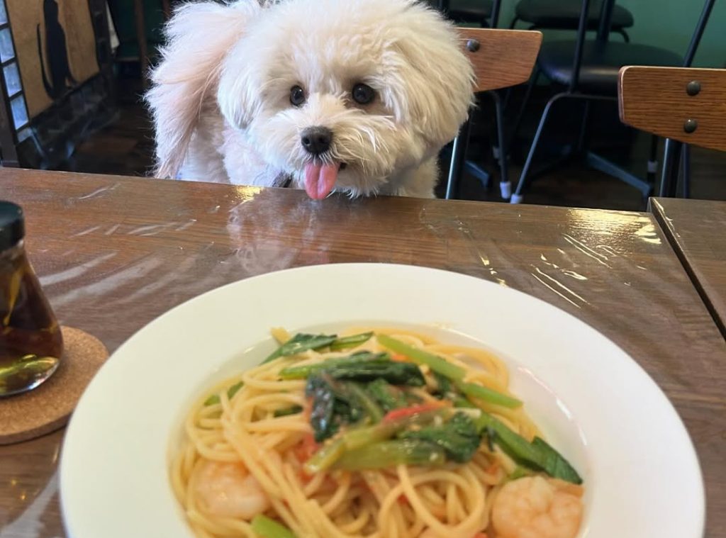 cacom（カコム）	