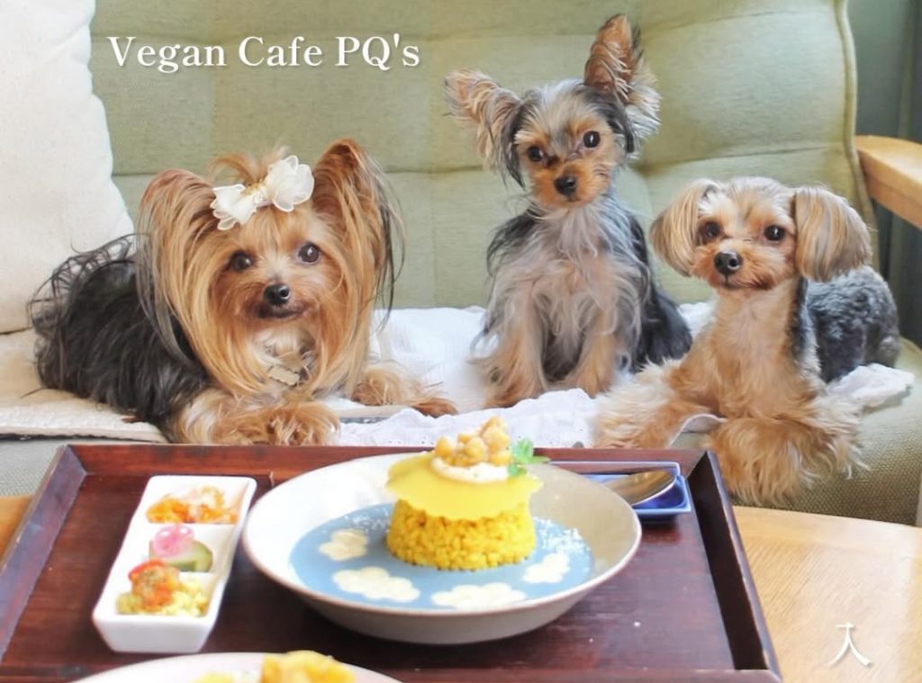 Vegan Cafe PQ's（ヴィーガンカフェピーキューズ）