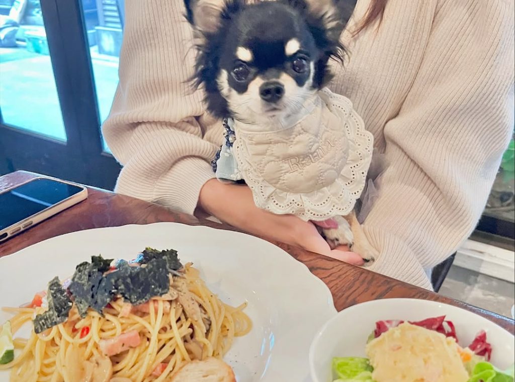 カフェ オトノヴァ （CafeOtonova）