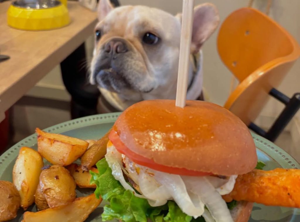 クラフト バーガー&グリル ジロー （Craft Burger & Grill Jiro）