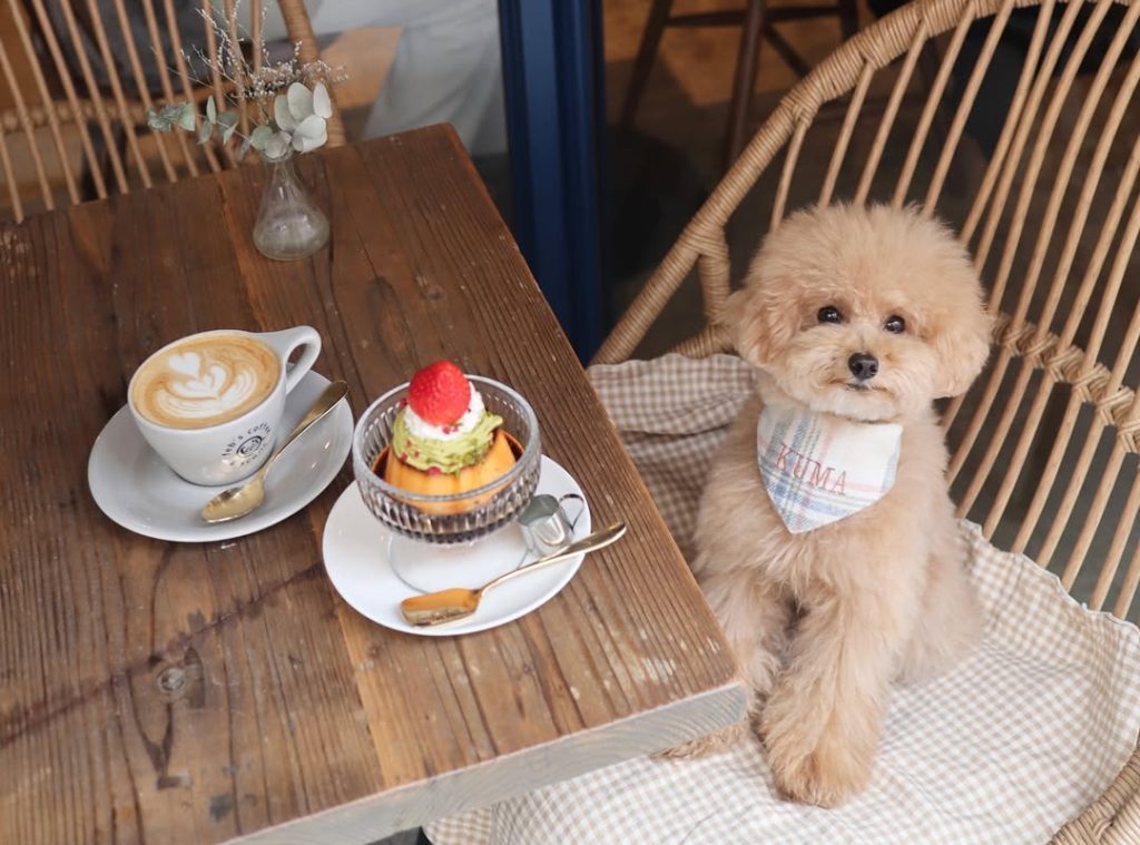 FEBRUARY CAFE（フェブラリーカフェ）