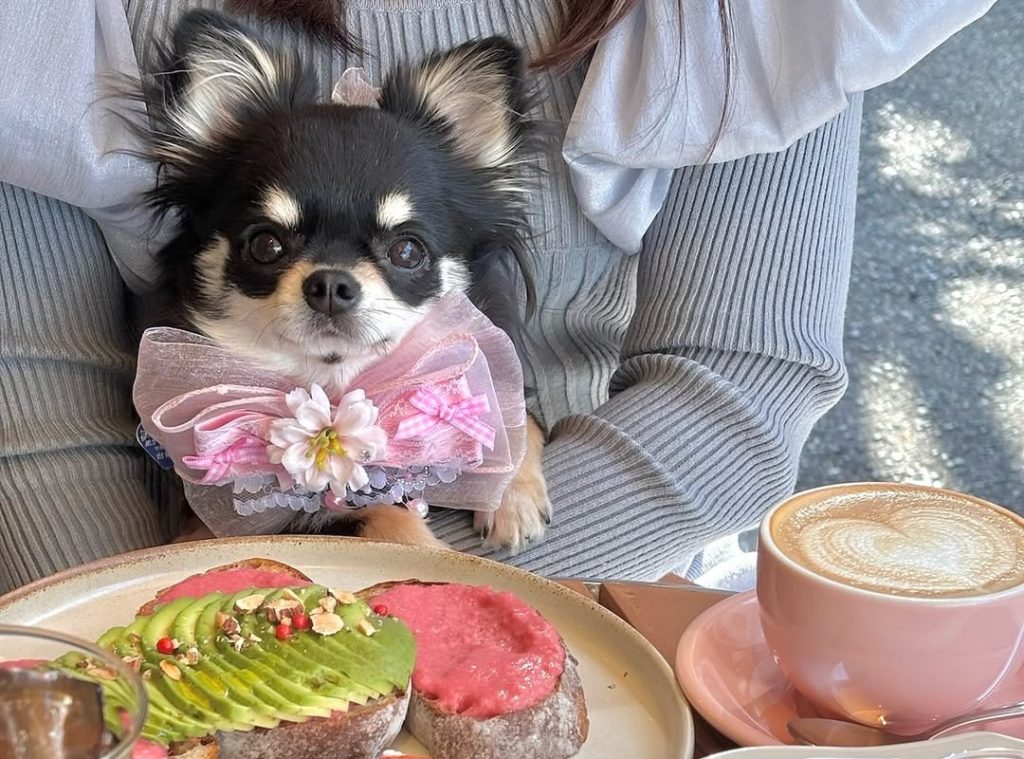 FEBRUARY KITCHEN（フェブラリーキッチン）