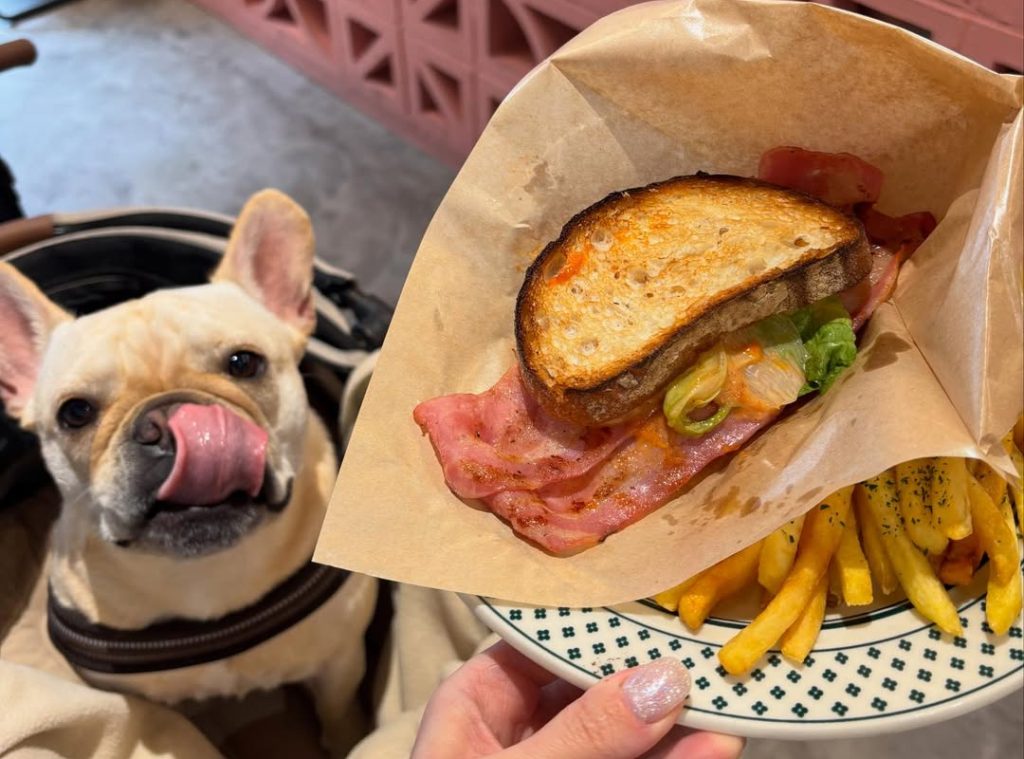 ORTIGA （オルティ)