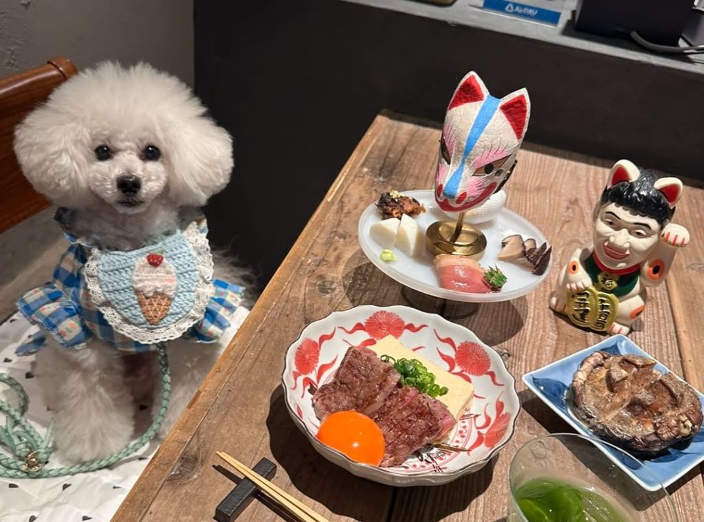 更科天狐（さらしなてんこ）