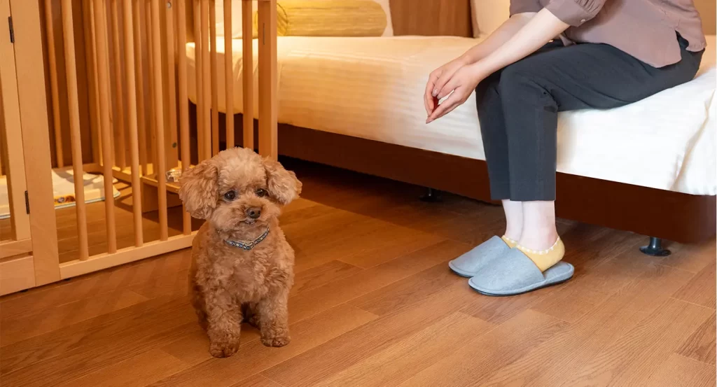 亀の井ホテル 鴨川