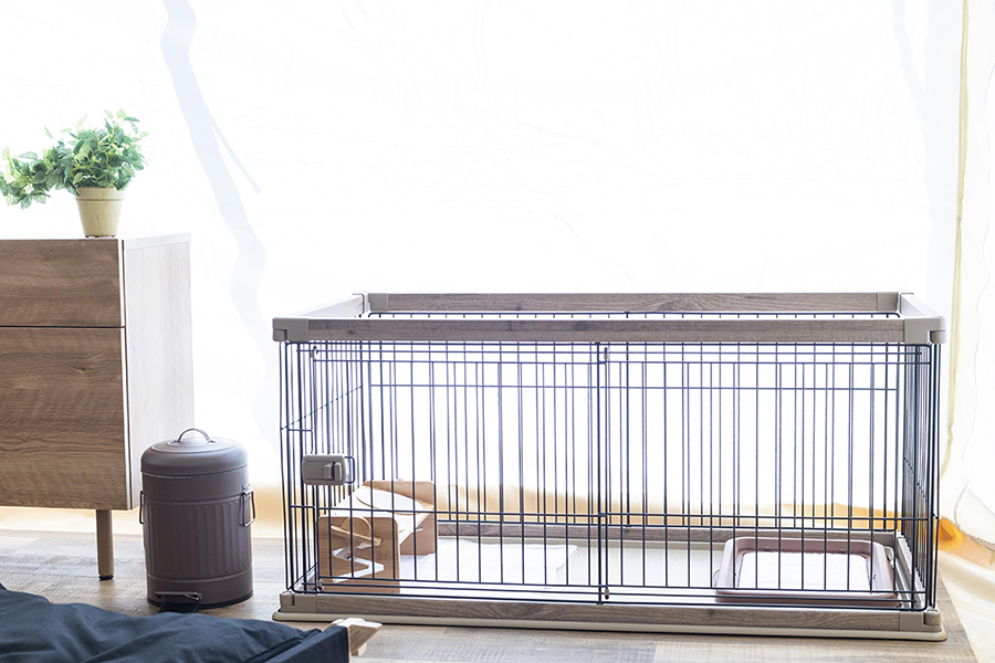 スライダー画像