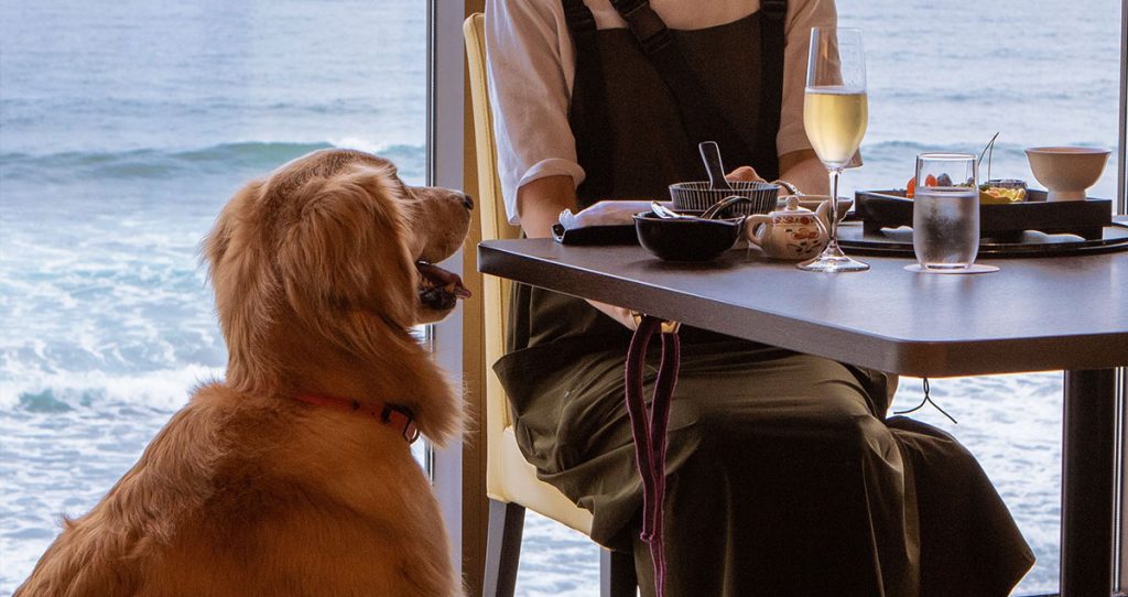 レジーナリゾート鴨川