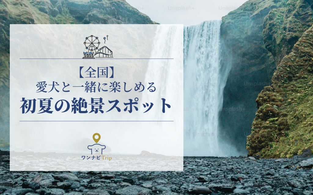 メインビジュアル