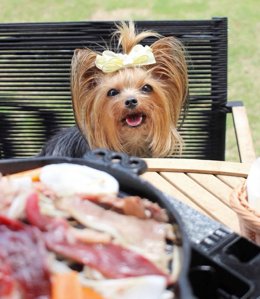 Outdoor Terrace LOTUS