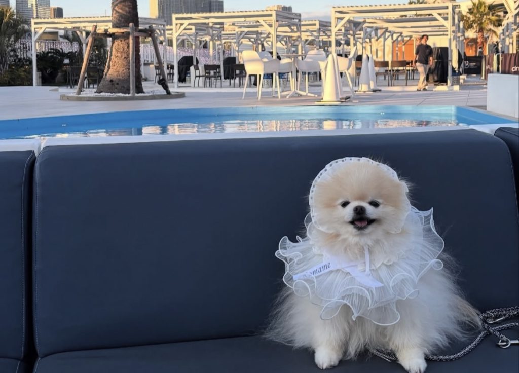 キラナガーデン豊洲