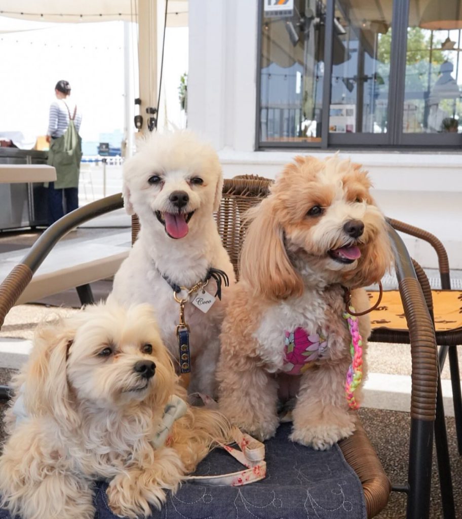 THE WHARF HOUSE YAMASHITA KOEN