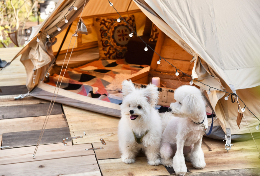 The Forest Garden KIMINOMORI