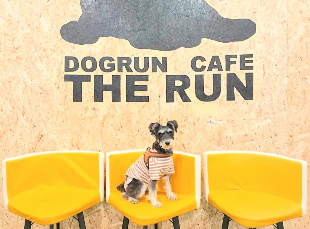 DOGRUN CAFE THE RUN