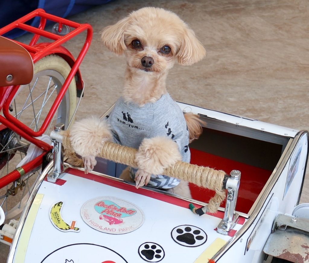 那須ハイランドパーク