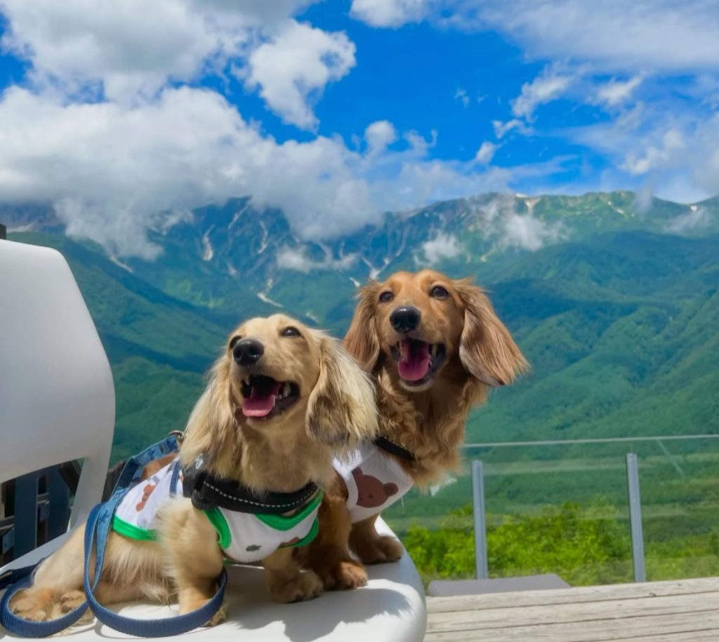 白馬岩岳マウンテンリゾート