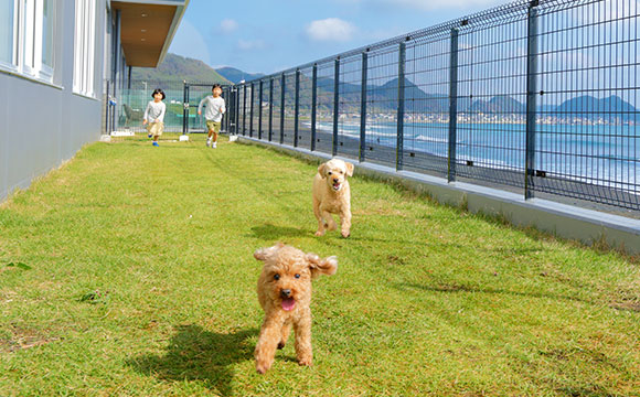 スライダー画像