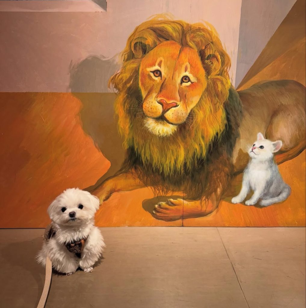 トリックアートミュージアム軽井沢