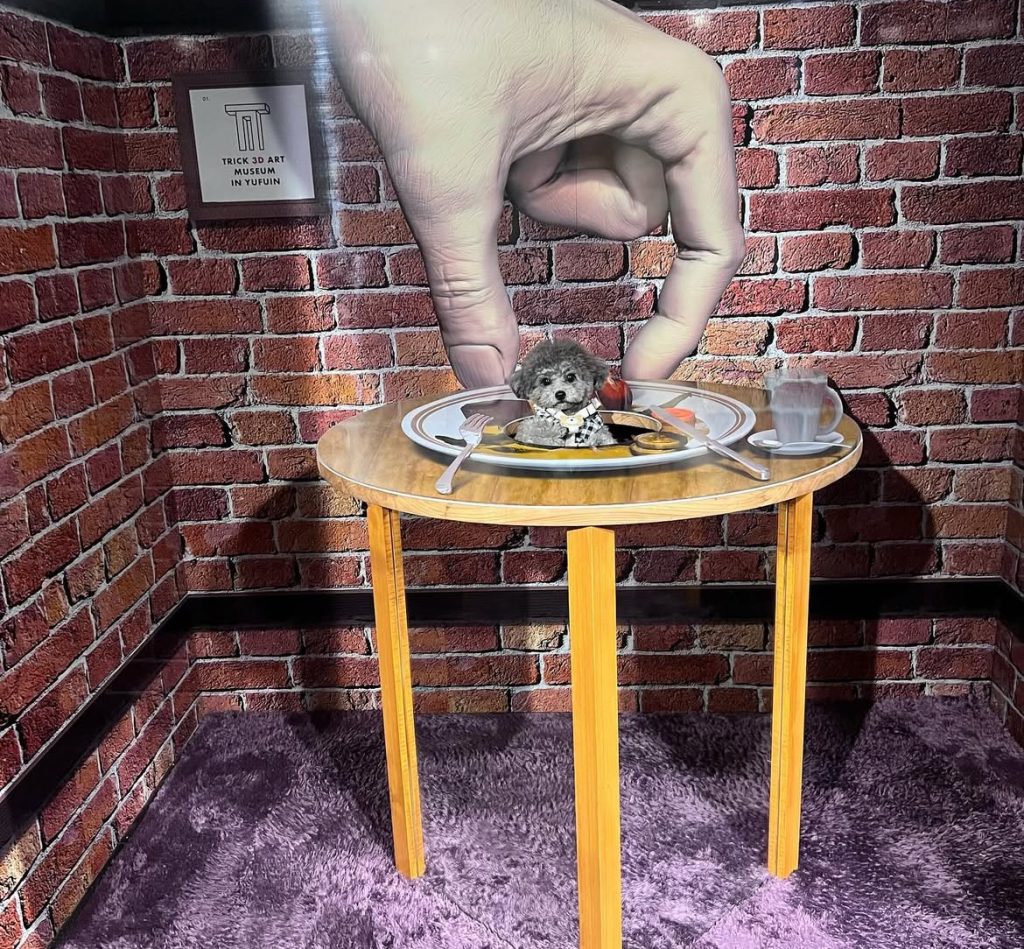 トリック3Dアート湯布院