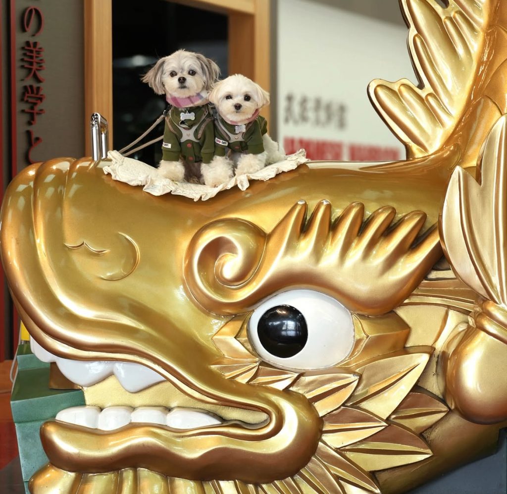 熱海トリックアート迷宮館