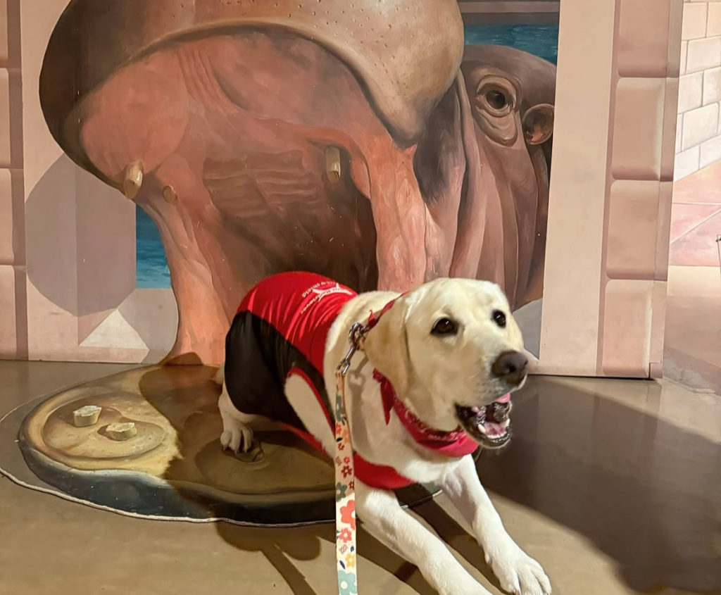 トリックアートミュージアム軽井沢