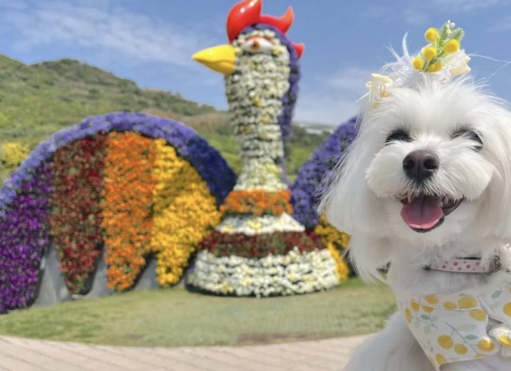 国営明石海峡公園