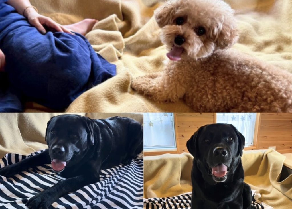 ぬか酵素 Sun燦