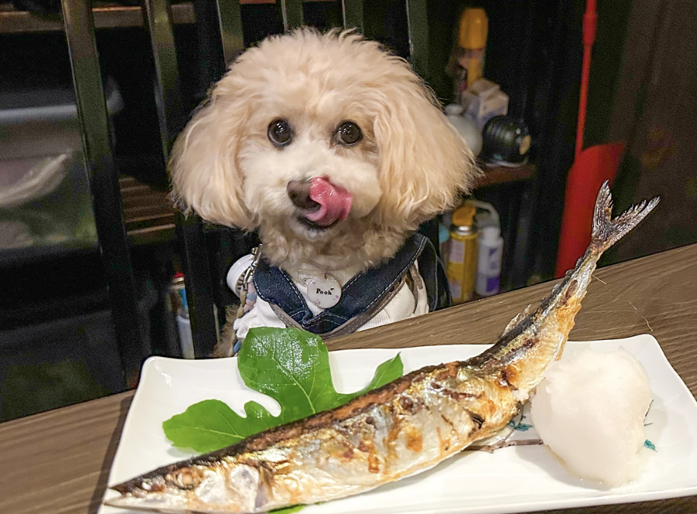 酒味処　赤兎馬