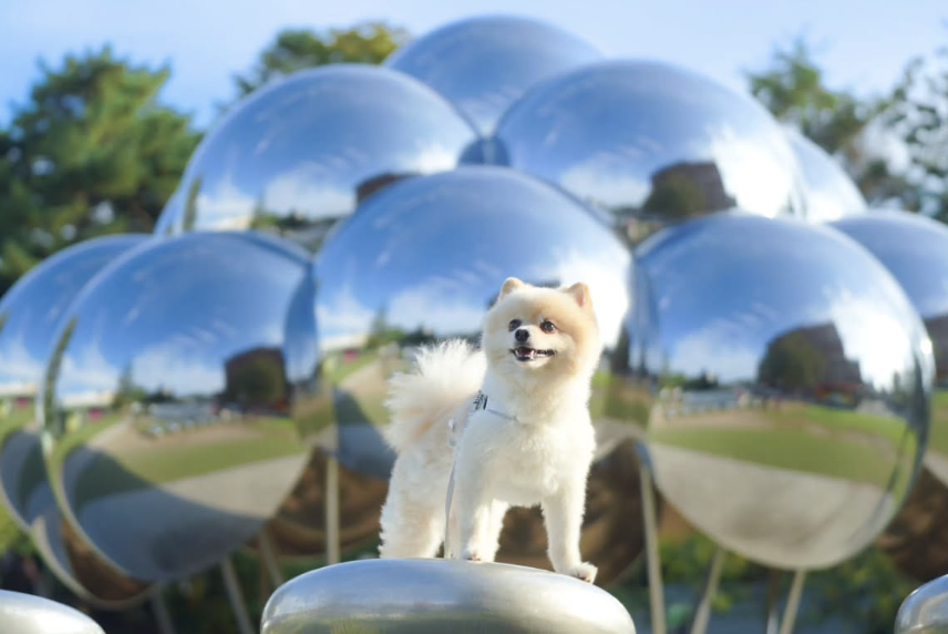 金沢21世紀美術館