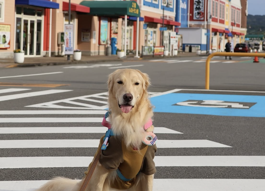 道の駅 伊東マリンタウン