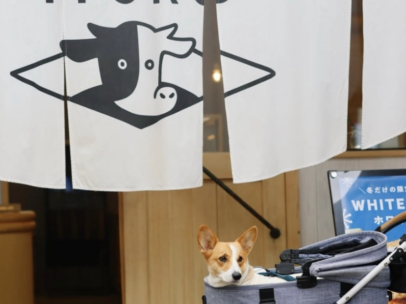 バターのいとこ