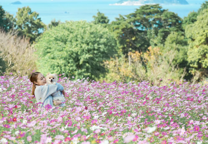 のこのしまアイランドパーク