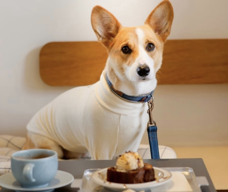 ONIBUS COFFEE 那須