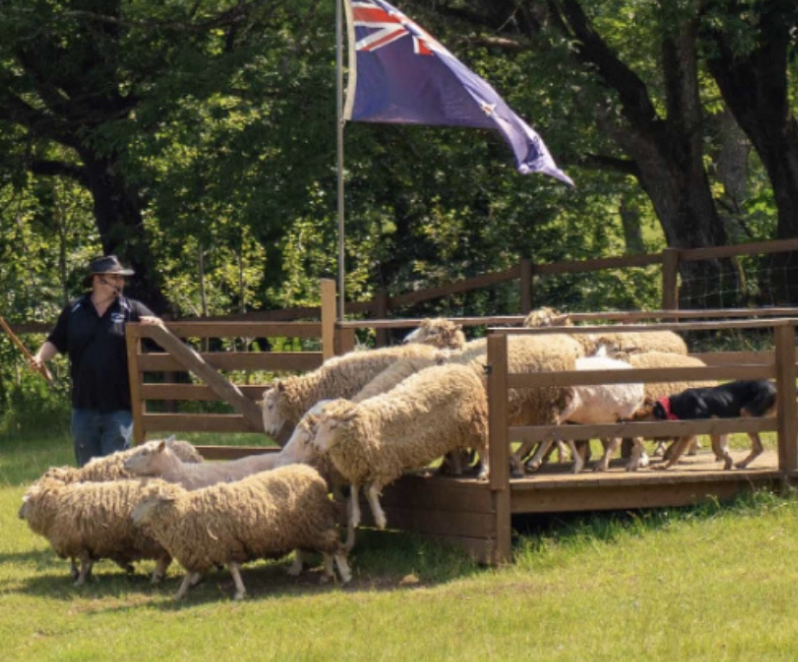 那須どうぶつ王国