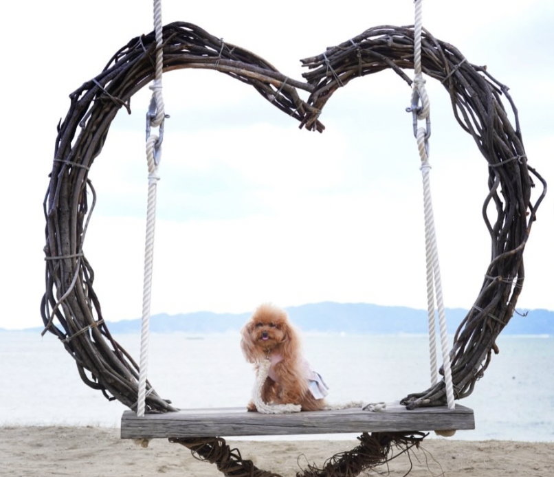 糸島ヤシの木ブランコ