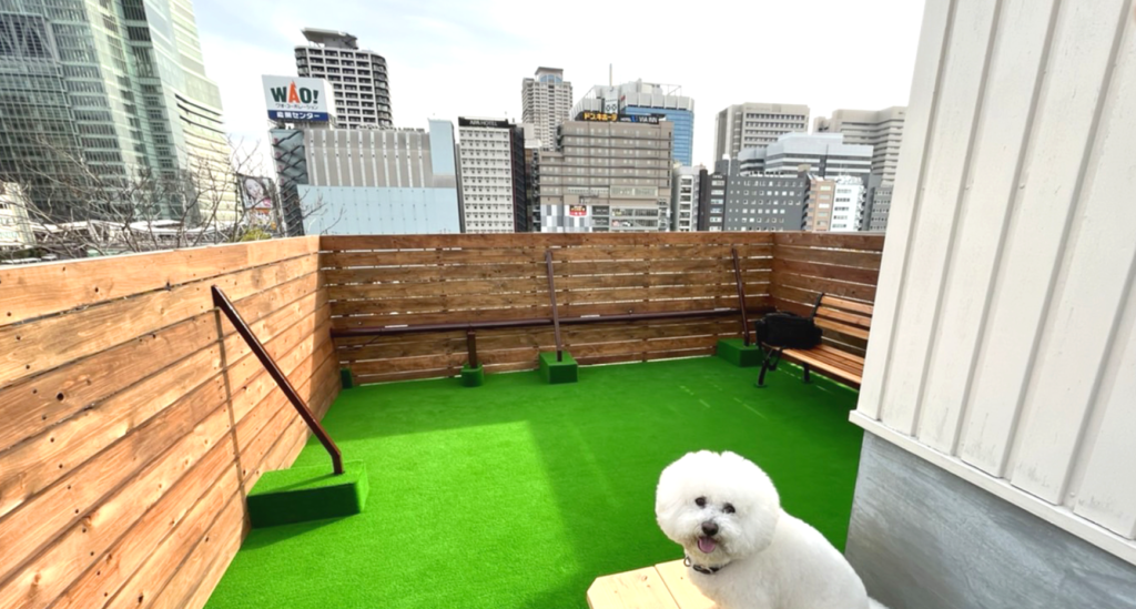 スライダー画像