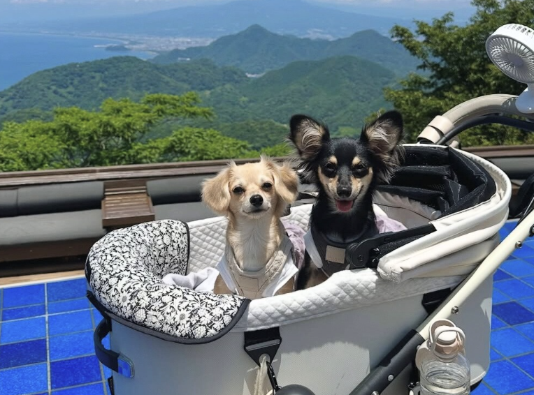 伊豆パノラマパーク