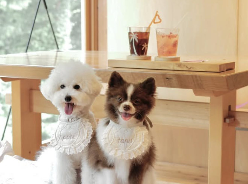 AcTree cafe【伊豆 木のカフェ】