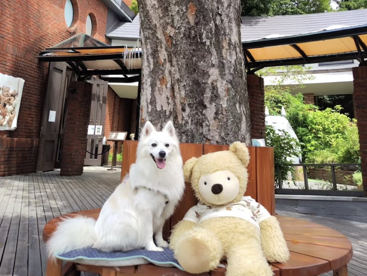 伊豆テディベア・ミュージアム