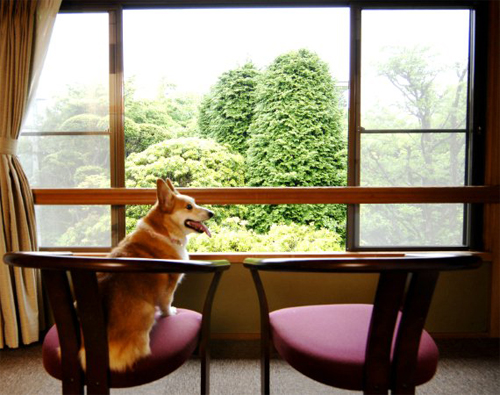 スライダー画像