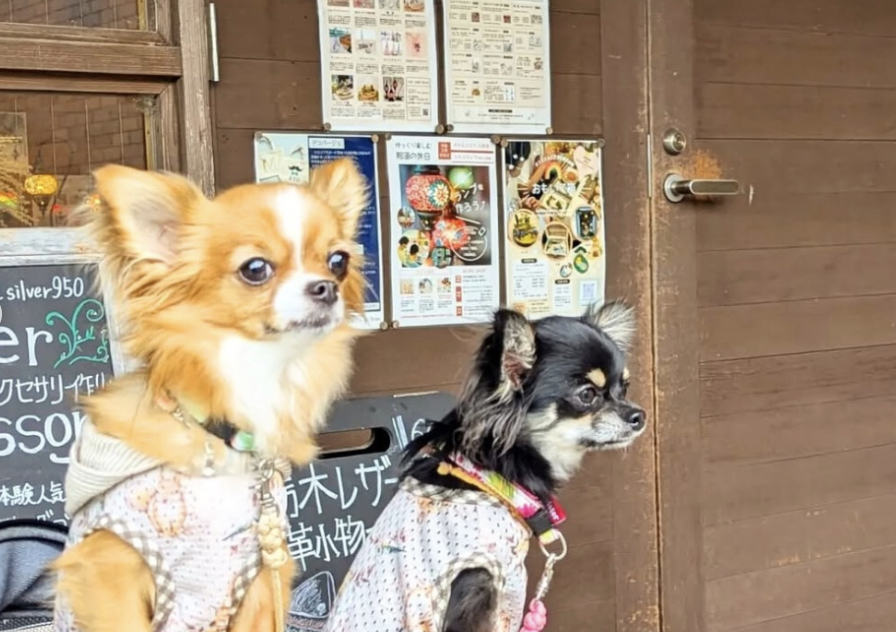 a.w.s体験工房和楽日店