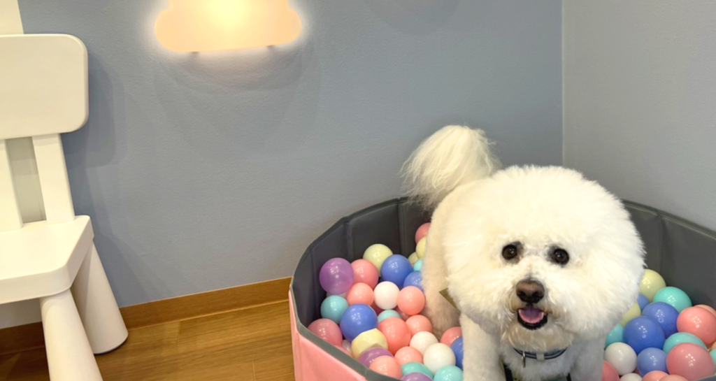 スライダー画像