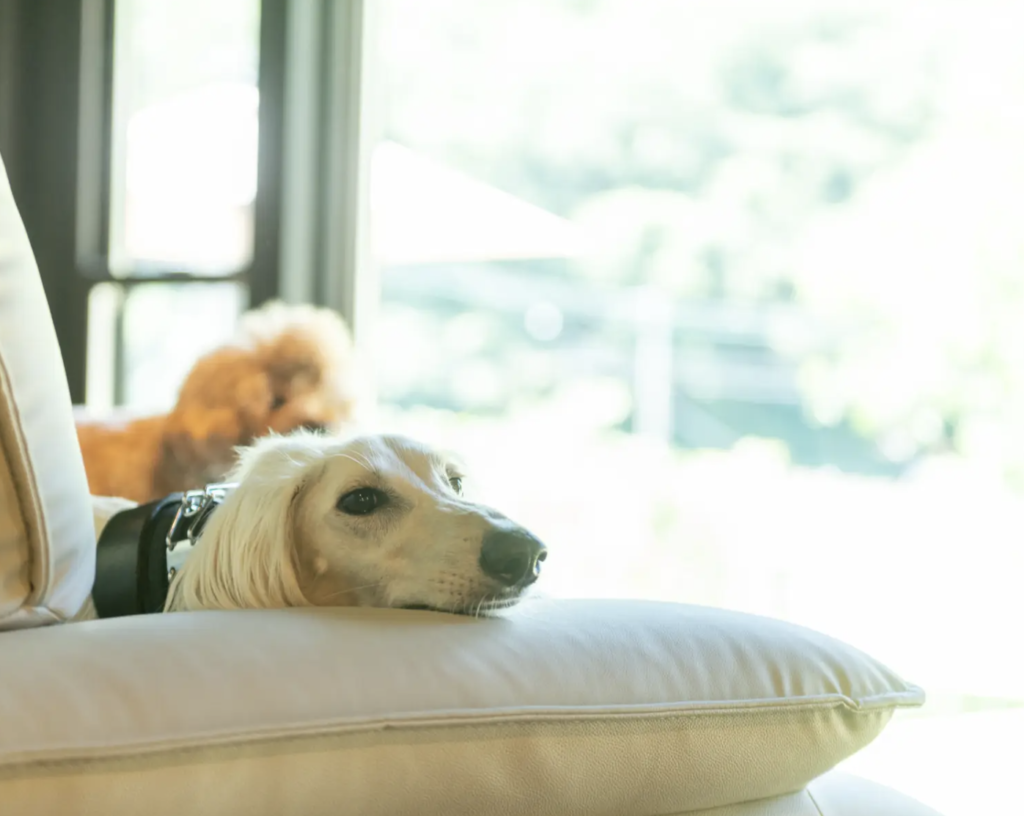 ＮＩＰＰＯＮＩＡ　美山鶴ヶ岡　山の郷