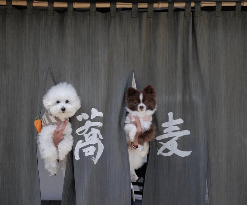蕎麦工房 五色庵