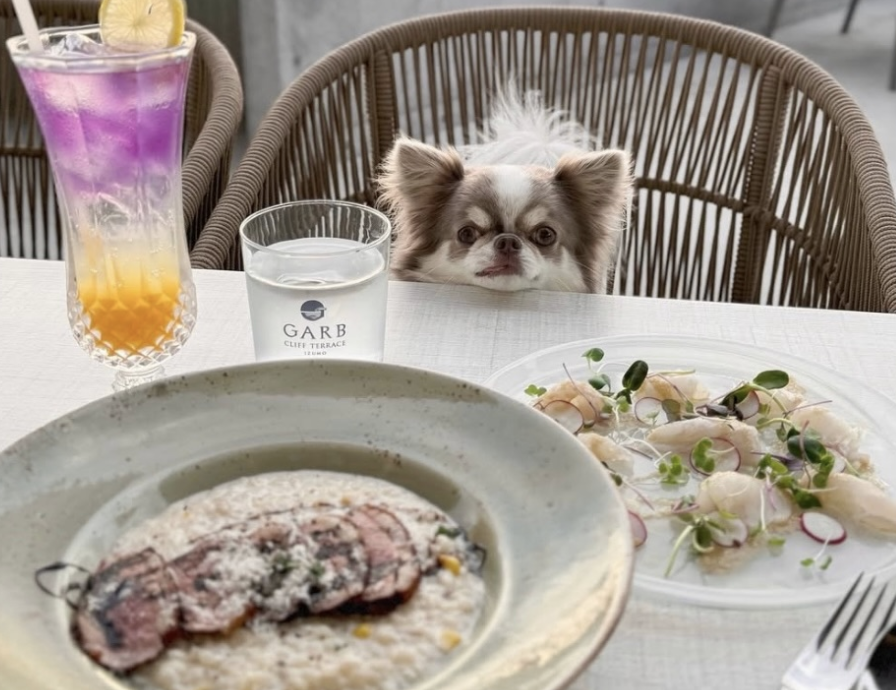 道の駅 キララ多伎