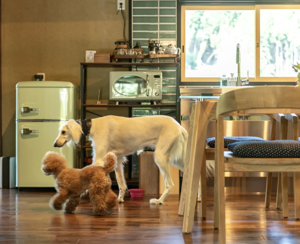 スライダー画像